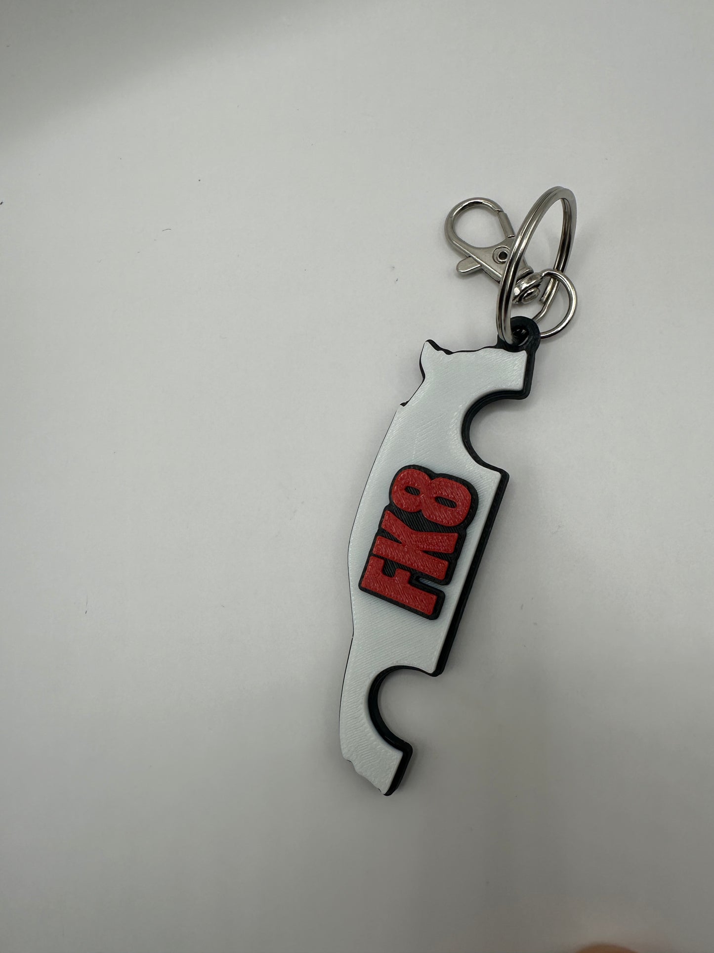 Silueta del Type R FK8